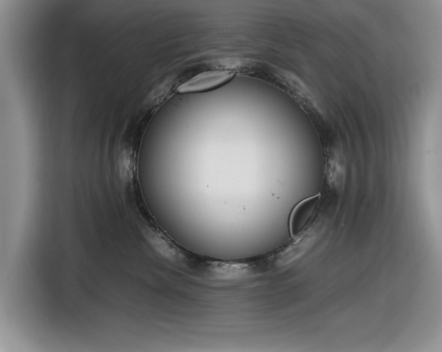 X0000116580476200912171527