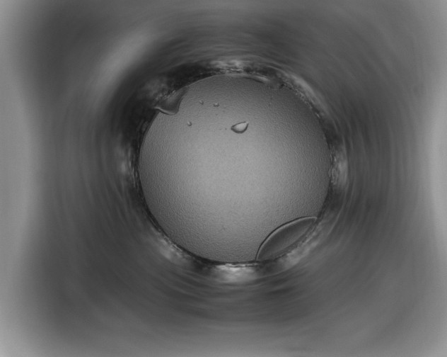 X0000116580477200912171527