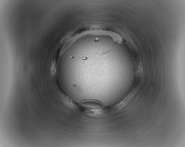 X0000116580478200912171527