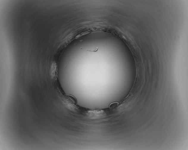 X0000116580480200912171527