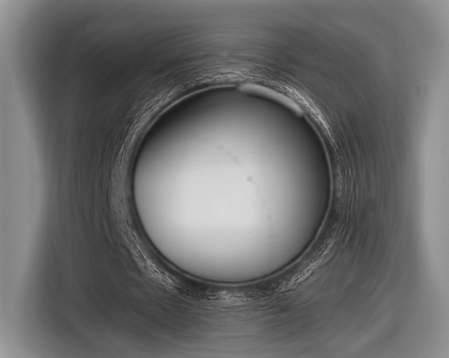 X0000116580481200912171527