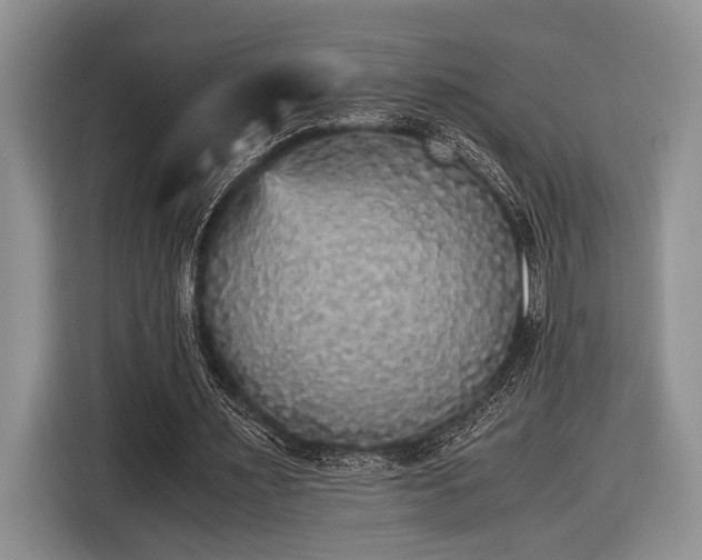 X0000116580483200912171527