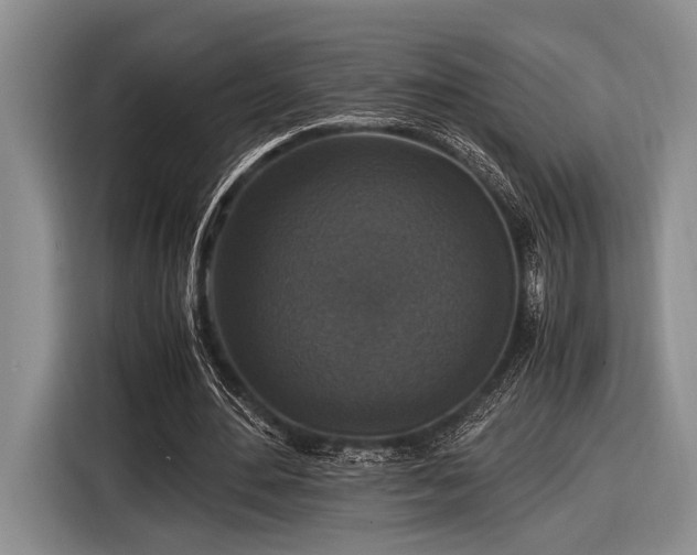 X0000116580484200912171527