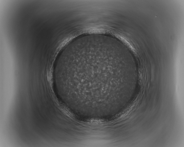 X0000116580487200912171527