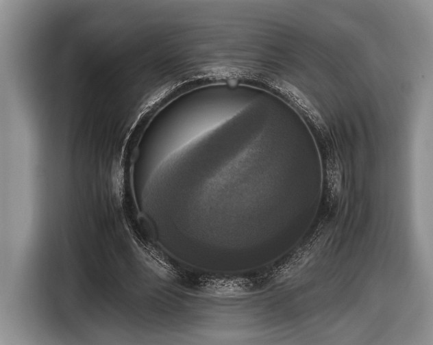 X0000116580488200912171527