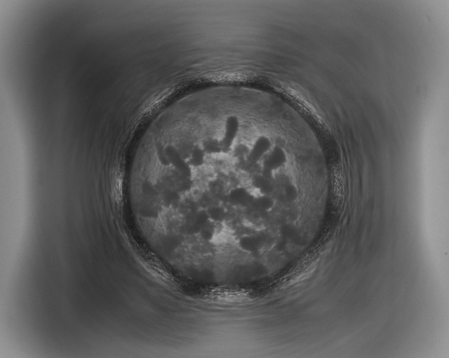 X0000116580491200912171527