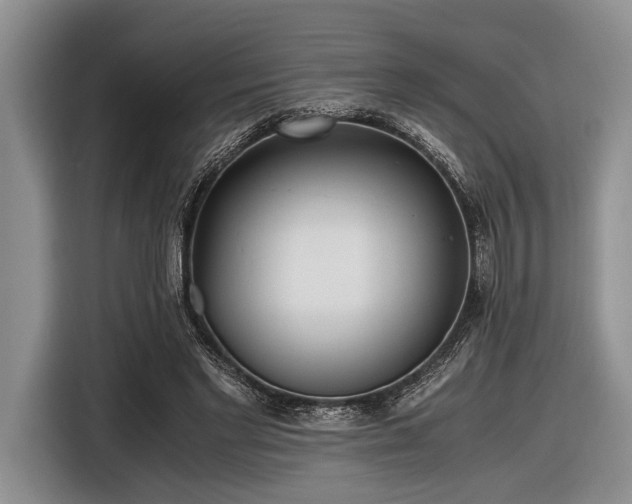 X0000116580493200912171527