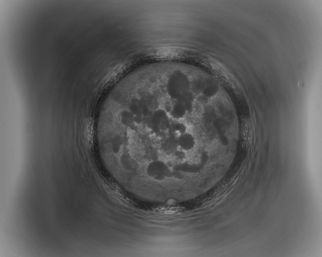 X0000116580495200912171527