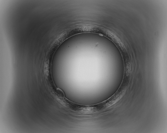 X0000116580497200912171526