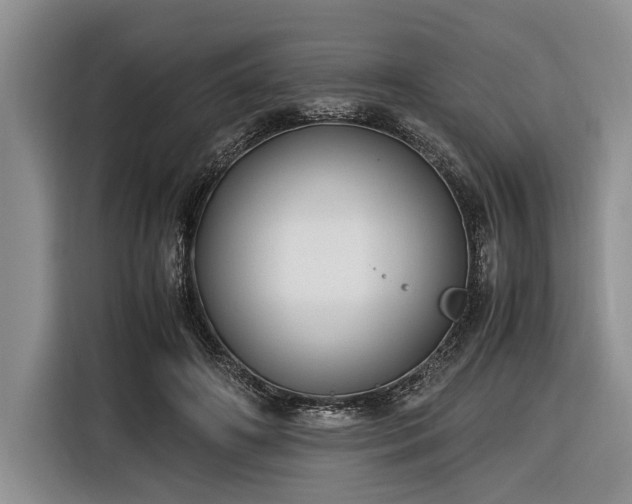 X0000116580498200912171526