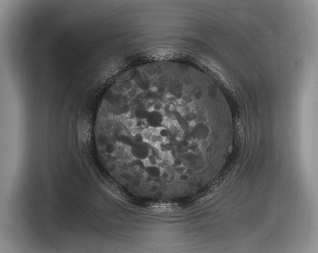 X0000116580499200912171526