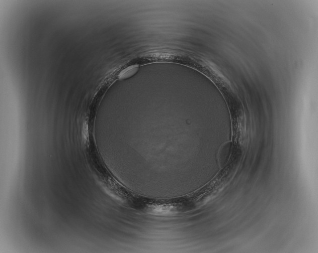 X0000116580500200912171526