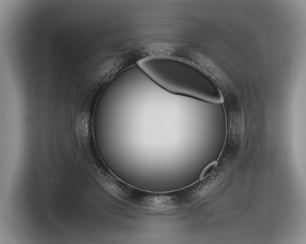 X0000116580501200912171526