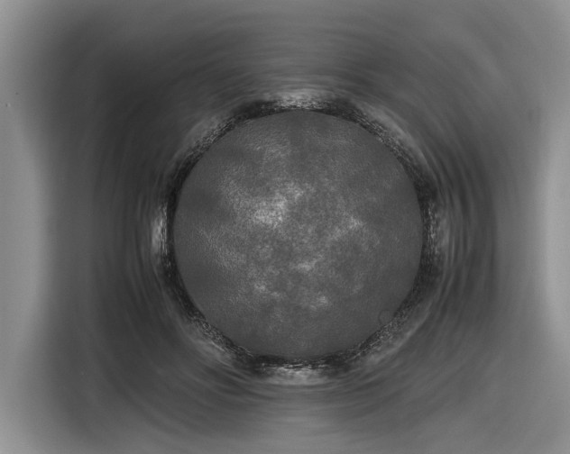 X0000116580502200912171526