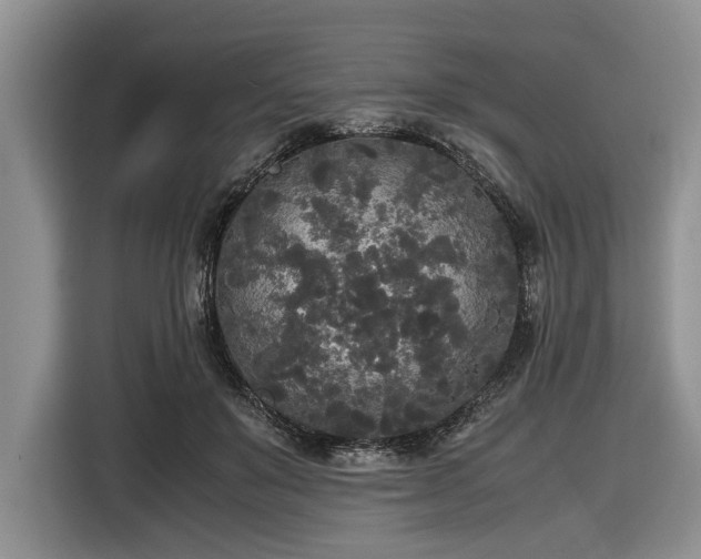 X0000116580503200912171526