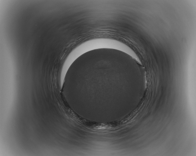 X0000116580504200912171526