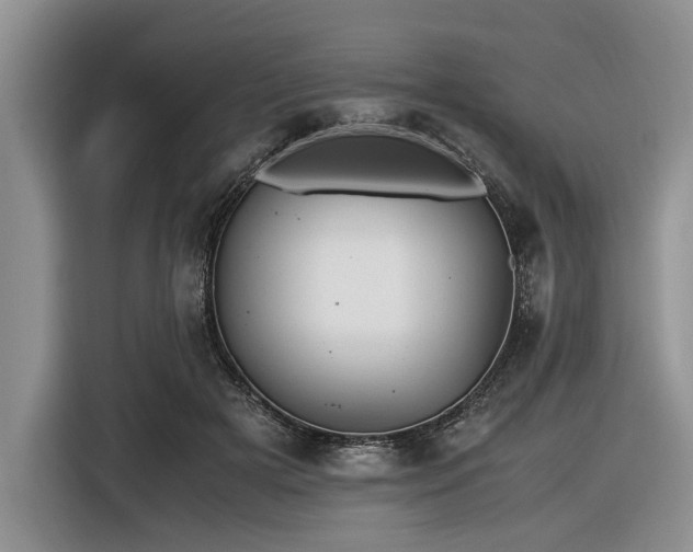 X0000116580505200912171526