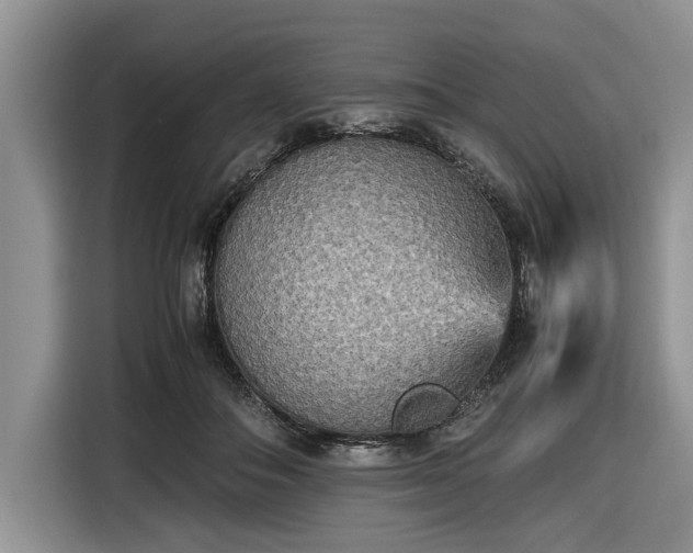 X0000116580506200912171526