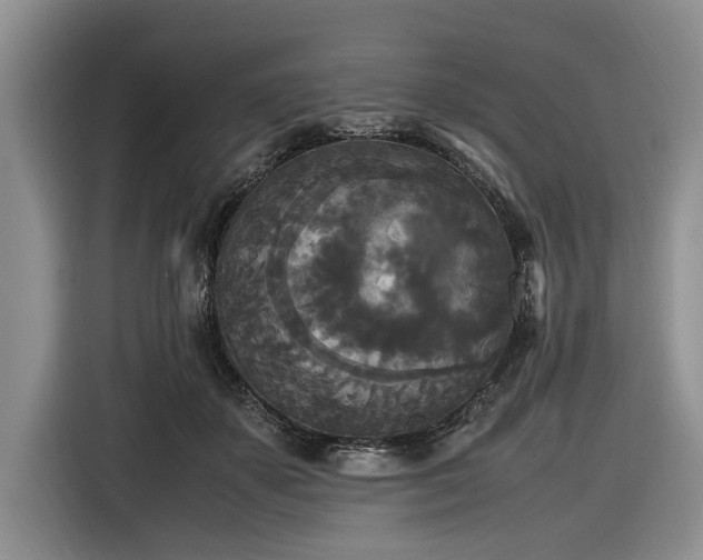 X0000116580507200912171526