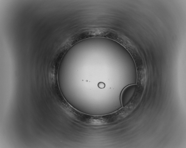 X0000116580510200912171526