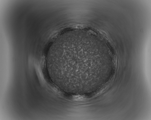 X0000116580511200912171526