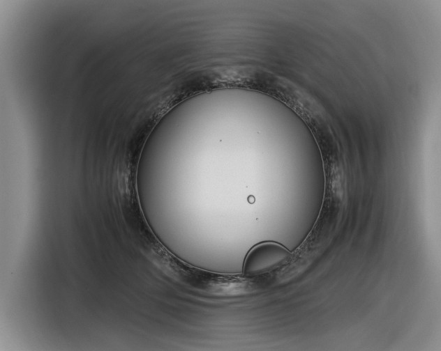 X0000116580514200912171526