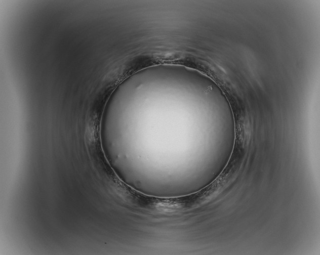 X0000116580515200912171526