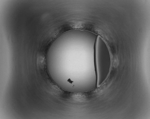 X0000116580521200912171526