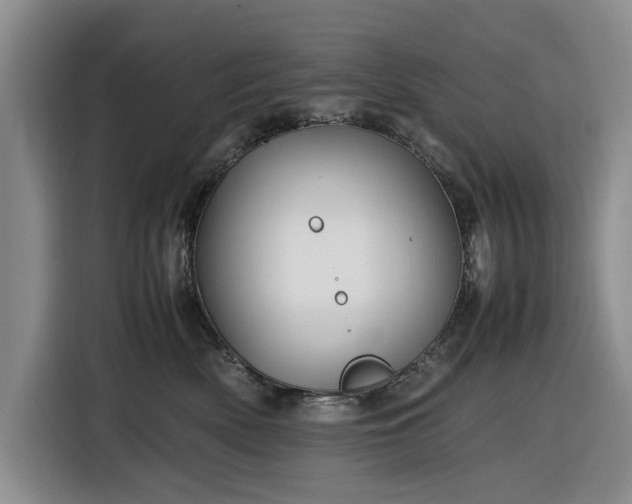 X0000116580522200912171526