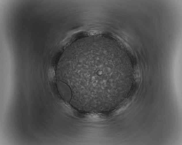 X0000116580523200912171526