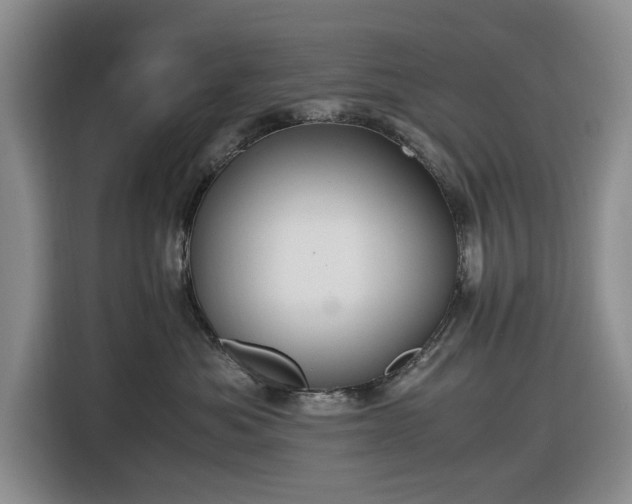 X0000116580525200912171526