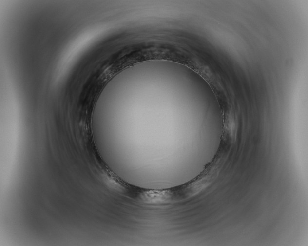 X0000116580526200912171526