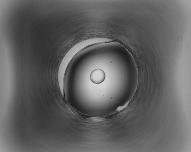 X0000116580528200912171526