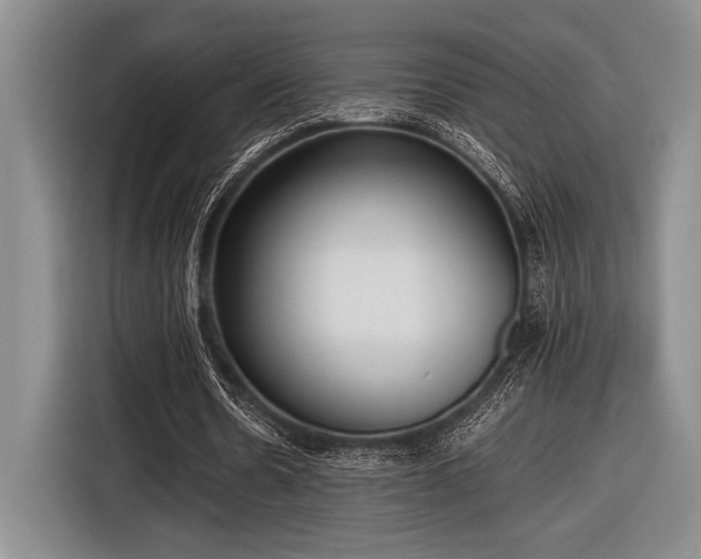 X0000116580530200912171525