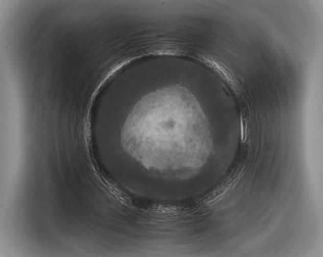 X0000116580531200912171525