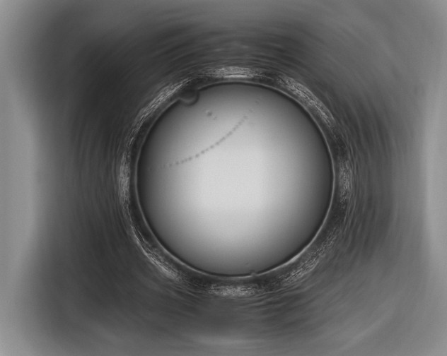 X0000116580533200912171526