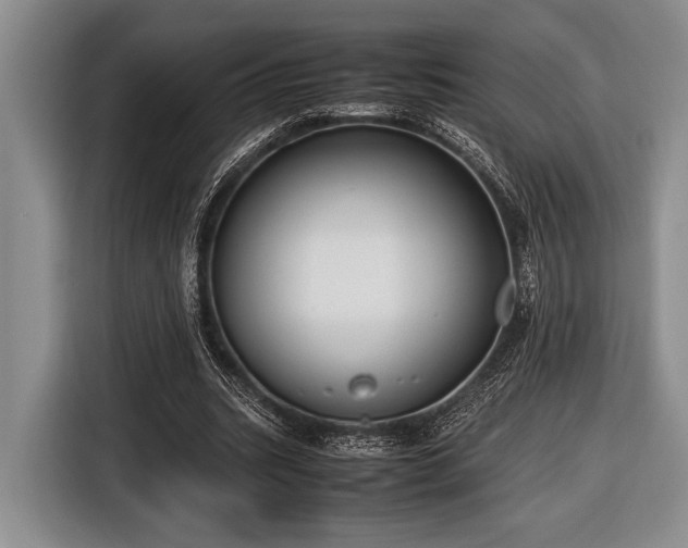 X0000116580535200912171526