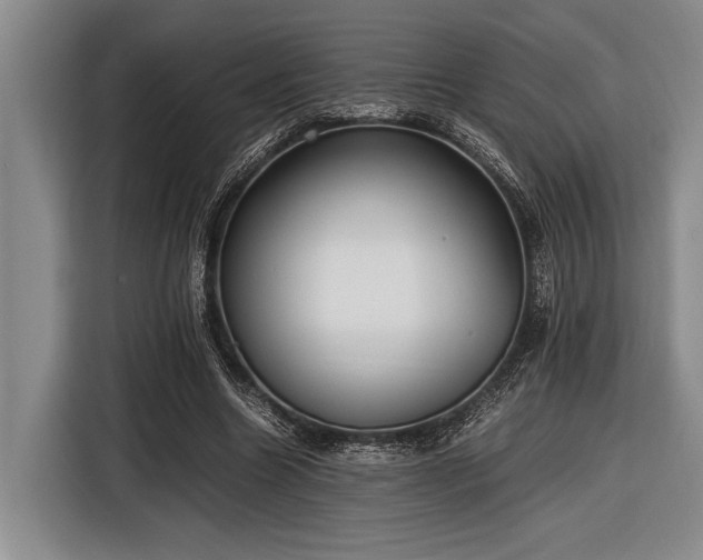 X0000116580538200912171526