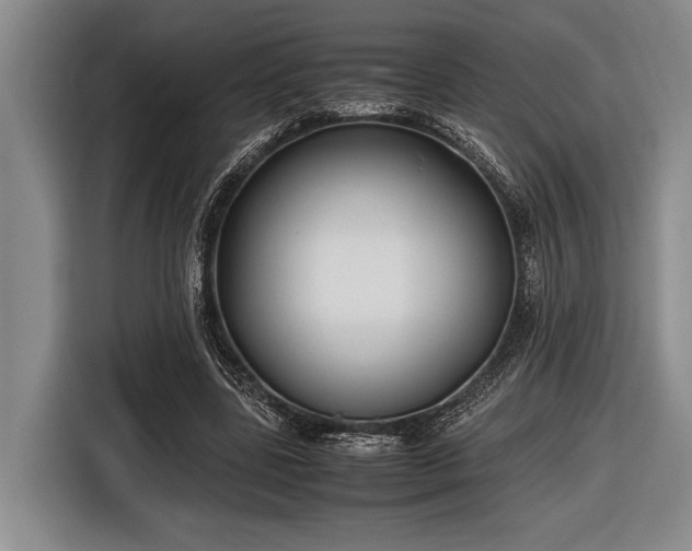 X0000116580539200912171526