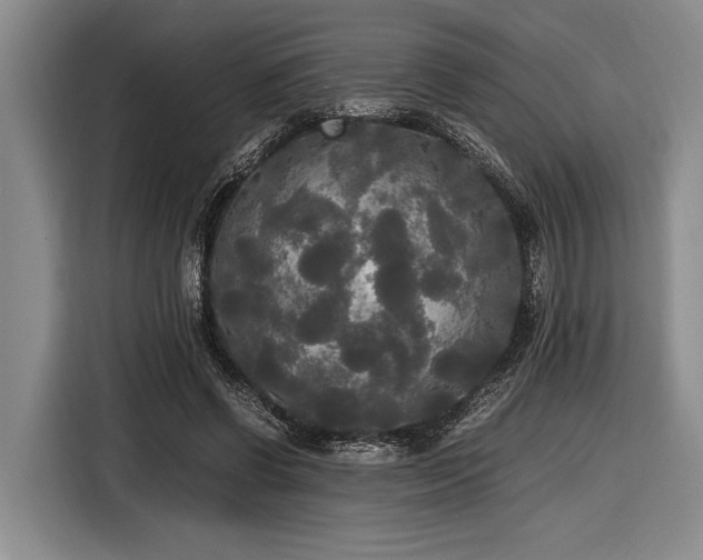 X0000116580542200912171526