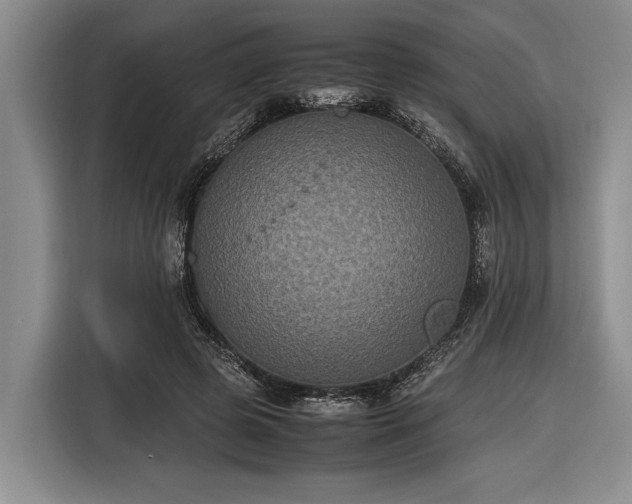 X0000116580545200912171526