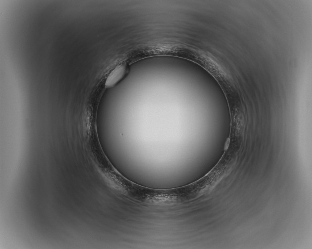 X0000116580546200912171526