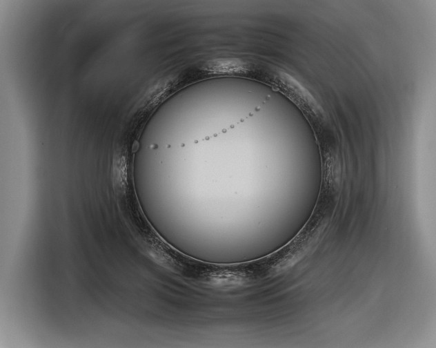 X0000116580549200912171526