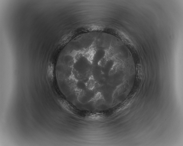 X0000116580550200912171526