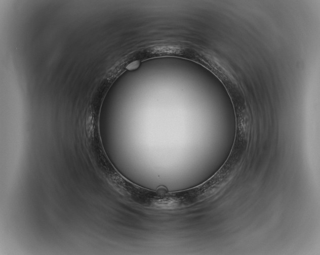 X0000116580551200912171526