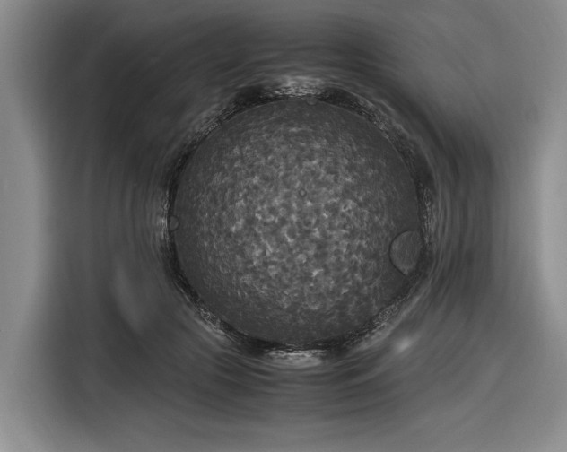 X0000116580553200912171526