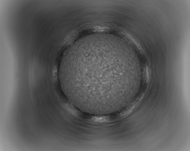 X0000116580557200912171526