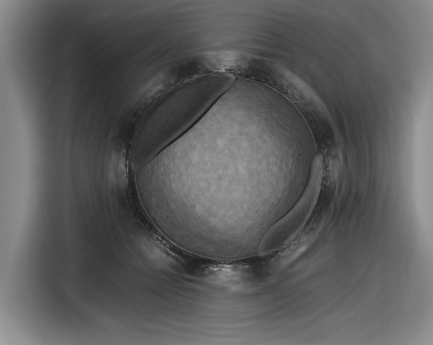 X0000116580558200912171526