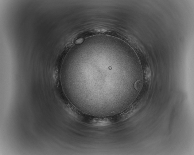 X0000116580559200912171526