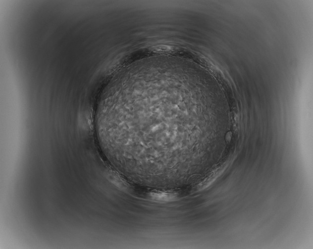 X0000116580561200912171526